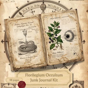 May include: An open vintage-style book with aged, stained pages featuring scientific illustrations. The left page shows a snake anatomy diagram with text, while the right page displays a botanical drawing of Atropa belladonna and a human eye diagram.