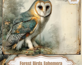 Woodland Birds Junk Journal Kit, Vintage Forest Ephemera, Printable Nature Journal Pages