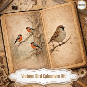 Kit de efímeros de aves vintage – Páginas imprimibles de naturalista victoriano, 36 páginas para diario creativo (descargable)