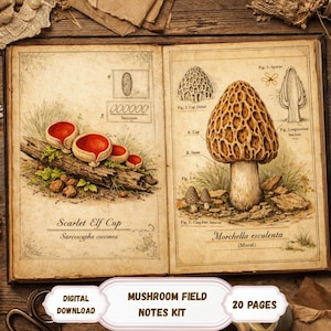 Könnte beinhalten: Offenes Buch mit Vintage-Pilzillustrationen. Eine Seite zeigt Scarlet Elf Cup-Pilze, die andere eine Morchel. Der Text lautet "Mushroom Field Notes Kit" und "Digital Download". Das Buch hat 20 Seiten.