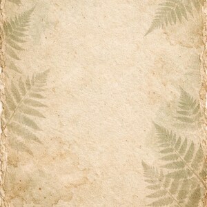 Puede incluir: Fondo de papel envejecido con borde rasgado. D&eacute;biles impresiones de hojas de helecho son visibles en las esquinas, creando una est&eacute;tica vintage. El papel tiene un tono beige c&aacute;lido con sutiles manchas marrones.