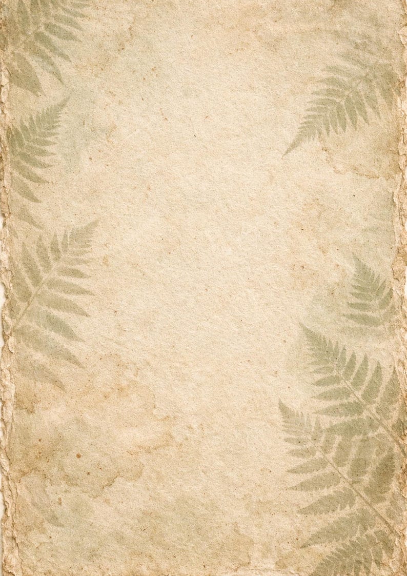 Puede incluir: Fondo de papel envejecido con borde rasgado. D&eacute;biles impresiones de hojas de helecho son visibles en las esquinas, creando una est&eacute;tica vintage. El papel tiene un tono beige c&aacute;lido con sutiles manchas marrones.