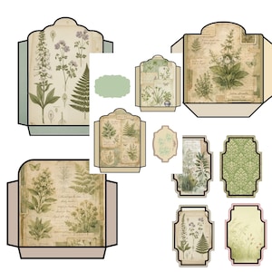 Vintage Herbarium Pages – Botanical Journal Printables, Antique Plant Illustrations, Nature Study Junk Journal Kit image 6