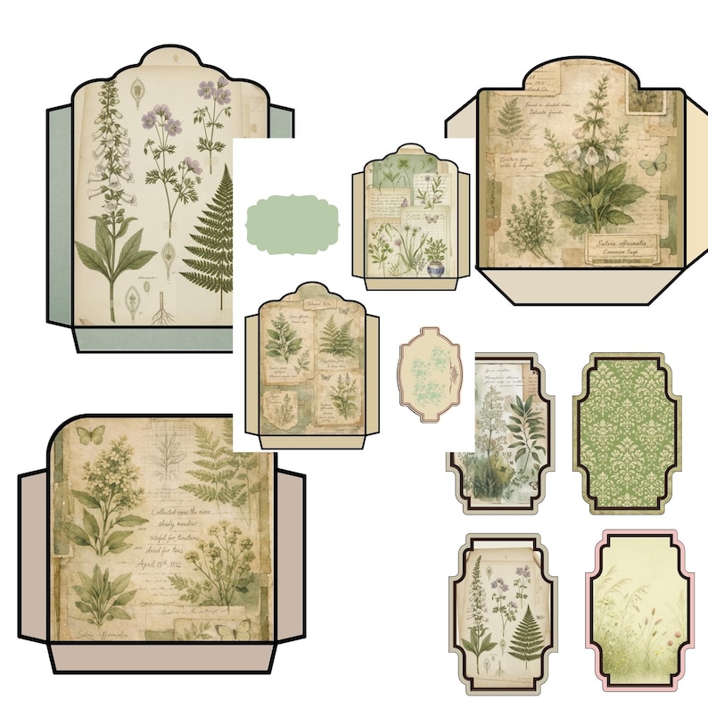 Vintage Herbarium Pages – Botanical Journal Printables, Antique Plant Illustrations, Nature Study Junk Journal Kit image 6