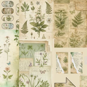 Vintage Herbarium Pages – Botanical Journal Printables, Antique Plant Illustrations, Nature Study Junk Journal Kit image 5