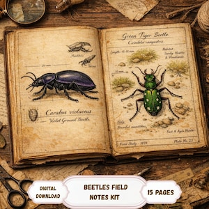Peut inclure: Un livre ouvert de style ancien avec des illustrations de coléoptères. Une page présente un scarabée noir et violet, l'autre un scarabée vert à points blancs. Le texte "BEETLES FIELD NOTES KIT" est en bas, avec "TÉLÉCHARGEMENT NUMÉRIQUE" et "15 PAGES".
