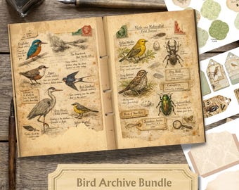 May include: An open vintage journal with bird illustrations, inkwell, and pen. The journal pages feature drawings of various birds, insects, and handwritten text. The title "Bird Archive Bundle Junk Journal Kit" is displayed below the journal. Includes 114 pages.