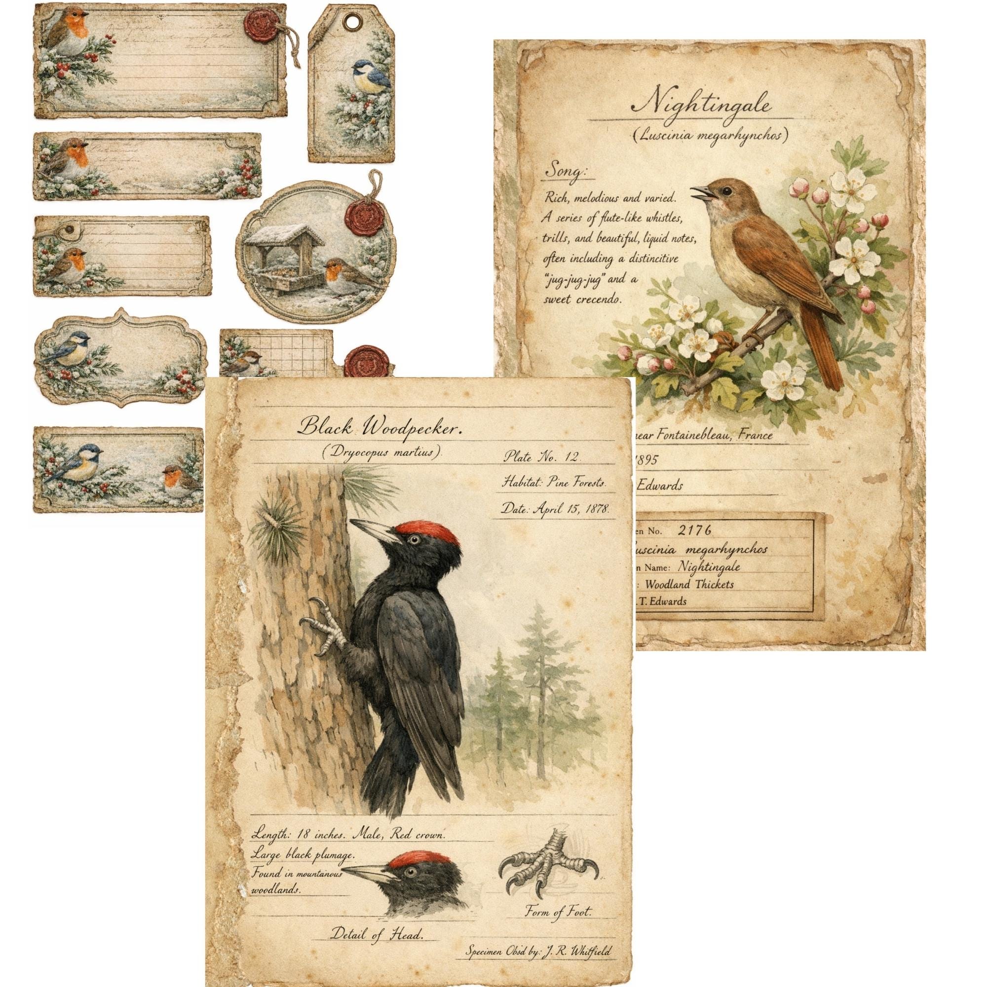 Bird Junk Journal Kit – Woodland Birds Mega Bundle Printable Journal ...