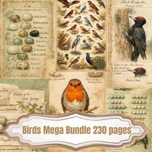 May include: A vintage-style collage featuring illustrations of various birds, eggs, and botanical elements. The image includes a red-breasted robin, a black woodpecker, and the text "Birds Mega Bundle 230 pages."