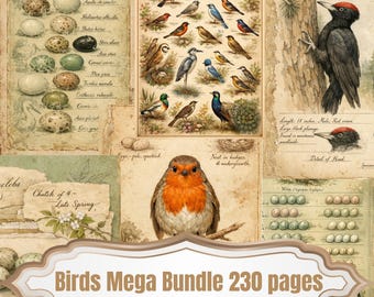 May include: A vintage-style collage featuring illustrations of various birds, eggs, and botanical elements. The image includes a red-breasted robin, a black woodpecker, and the text "Birds Mega Bundle 230 pages."