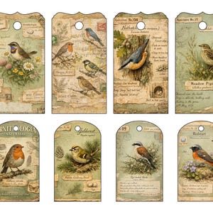 Kit imprimible para diario de archivo de aves del bosque, páginas de ornitología vintage, descarga digital para diario creativo. imagen 8
