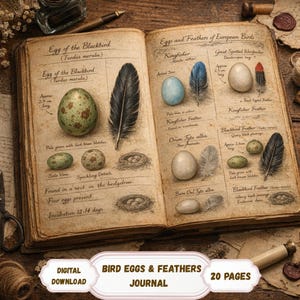 Può includere: Un diario vintage aperto con illustrazioni di uova e piume di uccelli. Le pagine presentano disegni dettagliati di uova, piume e nidi, con testo descrittivo. Il diario è intitolato "Bird Eggs & Feathers Journal" ed è un download digitale.