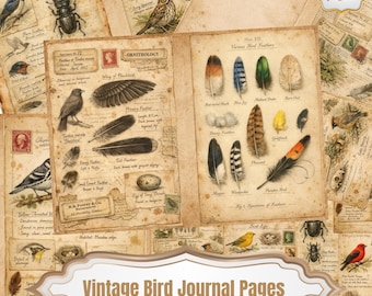 May include: Vintage bird journal pages with illustrations of birds, feathers, and insects. The pages have a distressed, aged appearance with handwritten notes and stamps. The text "Vintage Bird Journal Pages" is displayed on a decorative banner.