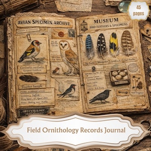 Puede incluir: Diario abierto de estilo vintage con ilustraciones de aves, plumas y huevos. El diario se titula "Avian Specimen Archive" y "Museum Bird Feathers & Specimens". Incluye el texto: "Field Ornithology Records Journal" y "45 pages".