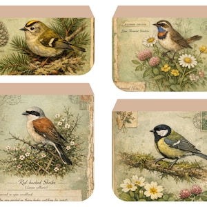 Kit imprimible para diario de archivo de aves del bosque, páginas de ornitología vintage, descarga digital para diario creativo. imagen 10