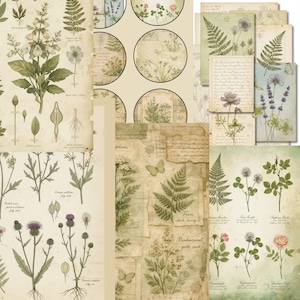 Vintage Herbarium Pages – Botanical Journal Printables, Antique Plant Illustrations, Nature Study Junk Journal Kit image 8
