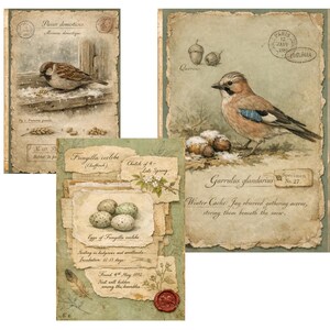 Bird Junk Journal Kit – Woodland Birds Mega Bundle Printable Journal ...