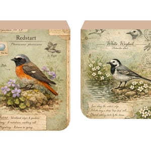 Kit imprimible para diario de archivo de aves del bosque, páginas de ornitología vintage, descarga digital para diario creativo. imagen 11