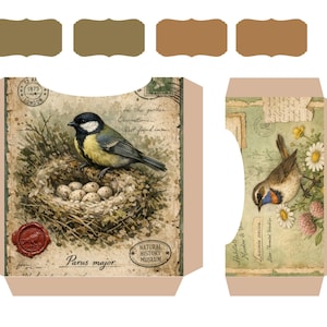 Kit imprimible para diario de archivo de aves del bosque, páginas de ornitología vintage, descarga digital para diario creativo. imagen 17