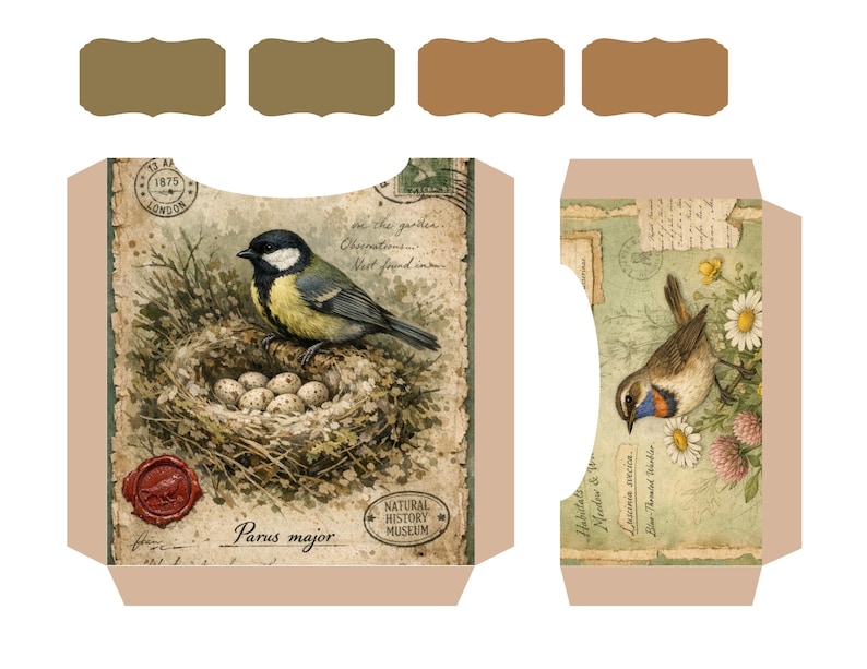 Kit imprimible para diario de archivo de aves del bosque, páginas de ornitología vintage, descarga digital para diario creativo. imagen 17