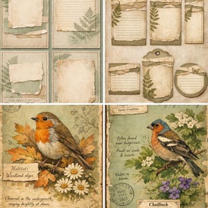 Puede incluir: Un collage de ef&iacute;meras de papel de estilo vintage, que incluye papel rayado, etiquetas y postales. Los dise&ntilde;os presentan bordes rasgados, acentos de helechos y flores e ilustraciones de aves. La paleta de colores incluye verdes apagados, marrones y cremas.