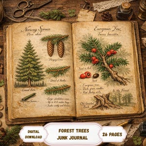 Könnte beinhalten: Aufgeschlagene Doppelseite eines Junk Journals mit Illustrationen von Norway Spruce und European Yew. Die Seiten zeigen botanische Zeichnungen, Diagramme und handschriftlichen Text. Der Text enthält "Forest Trees Junk Journal" und "Digital Download".
