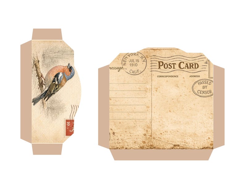 Kit imprimible para diario de archivo de aves del bosque, páginas de ornitología vintage, descarga digital para diario creativo. imagen 14