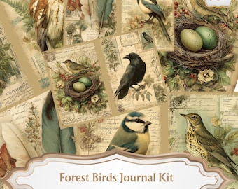 May include: A collage of vintage-style journal pages featuring illustrations of various forest birds, nests with eggs, feathers, and botanical elements. The text "Forest Birds Journal Kit" is displayed on a decorative banner.
