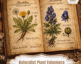 Naturalist Plant Ephemera, Vintage Botanical Junk Journal Pages