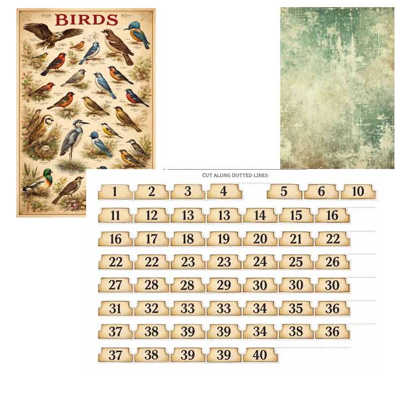 Bird Junk Journal Kit – Woodland Birds Mega Bundle Printable Journal ...