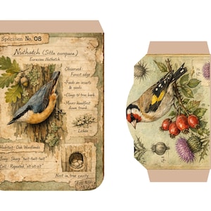 Kit imprimible para diario de archivo de aves del bosque, páginas de ornitología vintage, descarga digital para diario creativo. imagen 13