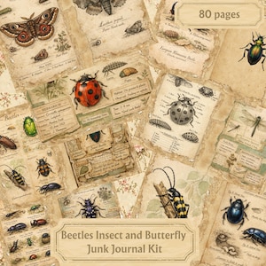 May include: A collection of vintage-style journal pages featuring illustrations of various insects and butterflies. The pages include detailed drawings of beetles, butterflies, and other insects, with handwritten text and the text "80 pages".