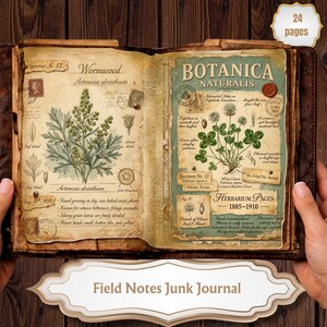Puede incluir: Un diario vintage abierto con ilustraciones botánicas de ajenjo y trébol. Las páginas del diario presentan notas manuscritas, sellos y el texto "Botanica Naturalis". La cubierta es de cuero marrón y el diario está etiquetado como "Field Notes Junk Journal."
