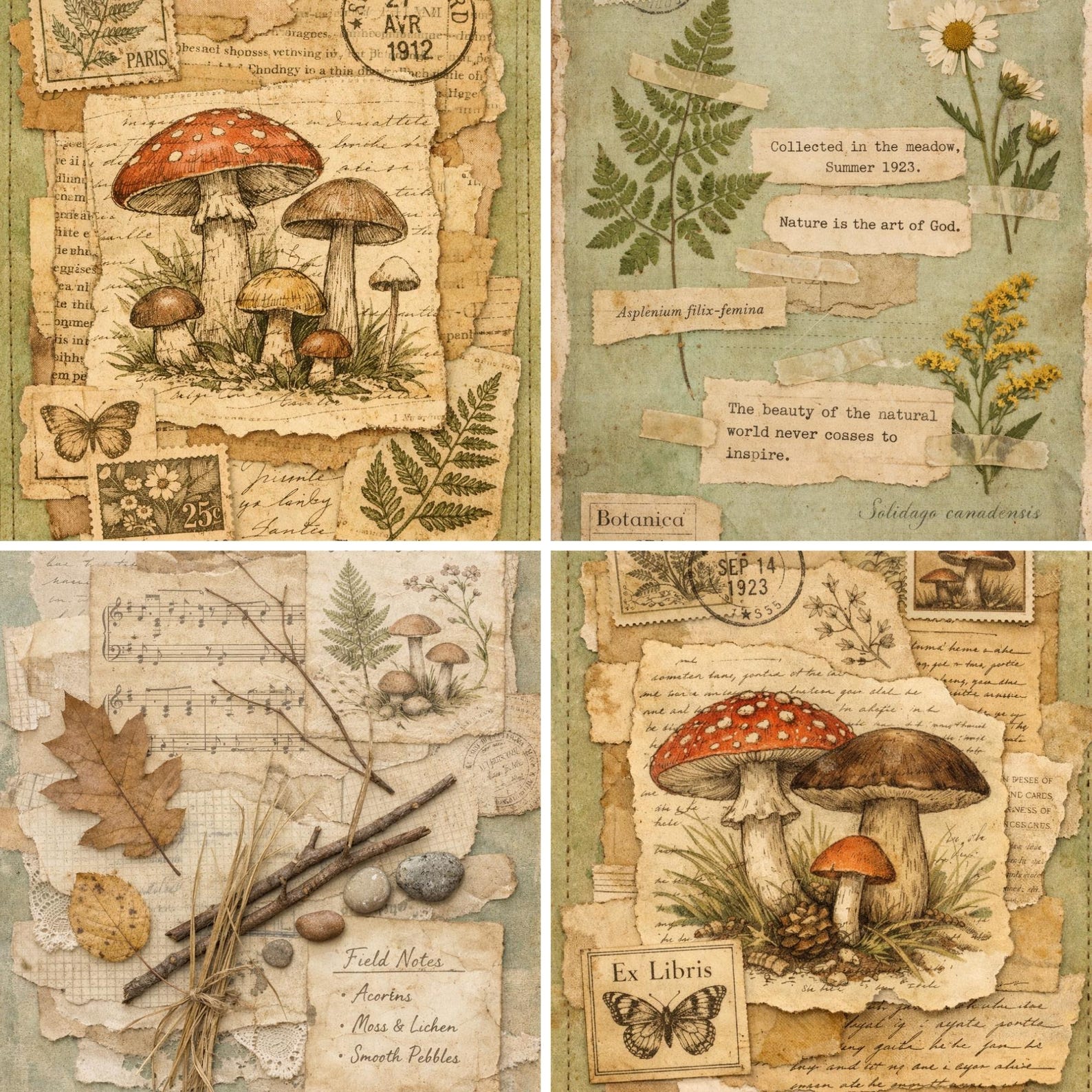 Woodland Mushrooms Junk Journal Kit – Vintage Botanical Ephemera - Etsy