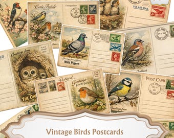 May include: A collection of vintage postcards featuring illustrations of various birds, including owls, robins, and blue tits. The postcards have aged paper textures, stamps, and handwritten text, with the text "Vintage Birds Postcards" at the bottom.