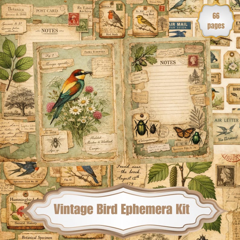 Vintage Bird Ephemera Kit – 66 Printable Pages, Junk Journal, Tags ...