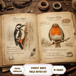 May include: An open book with illustrations of forest birds, including a woodpecker and a European robin. The pages have handwritten notes and sketches. The text at the bottom reads "FOREST BIRDS FIELD NOTES KIT" and "DIGITAL DOWNLOAD".