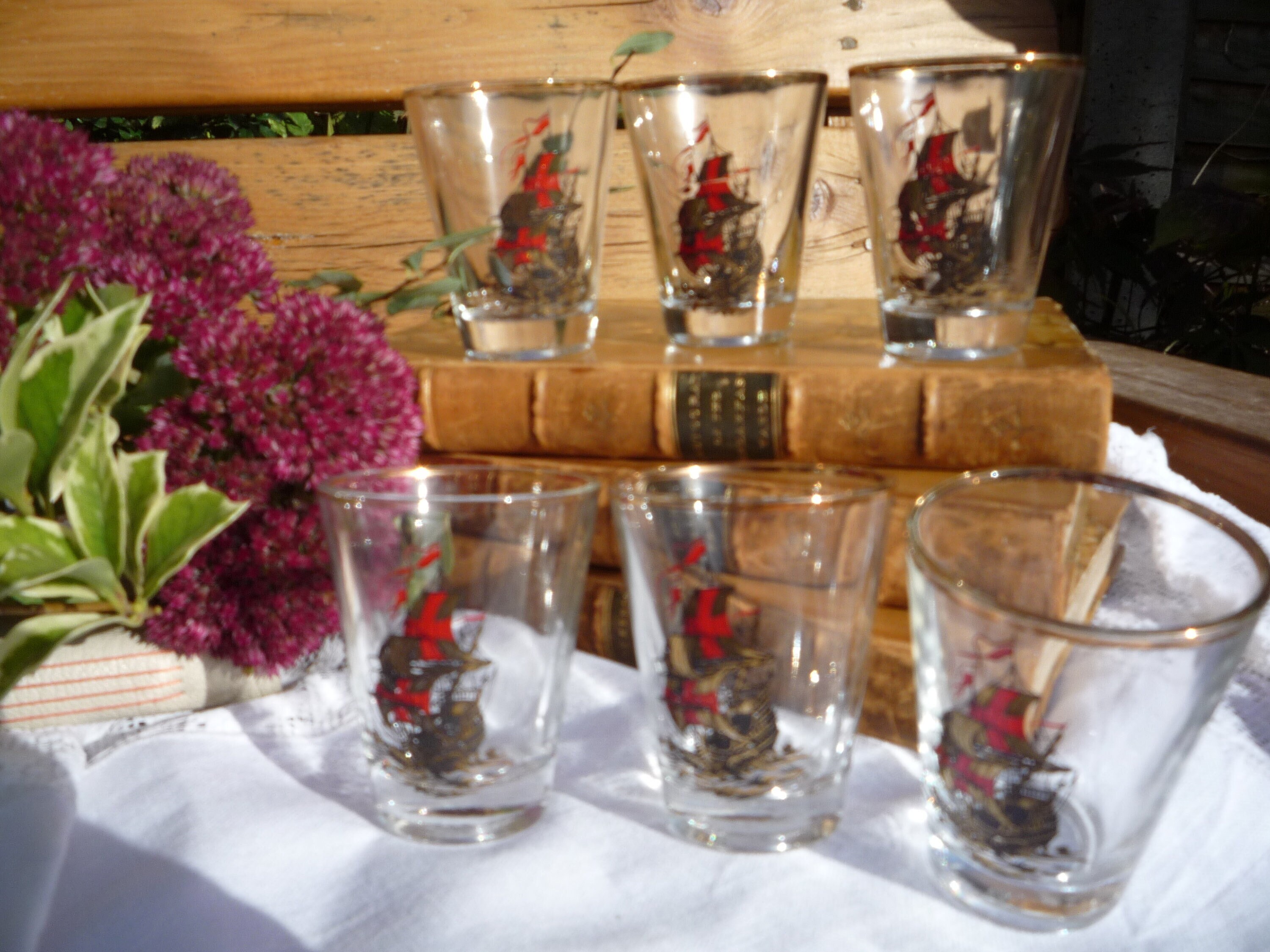6 Vintage French Shot/tot Glasses From the 1950's Etsy