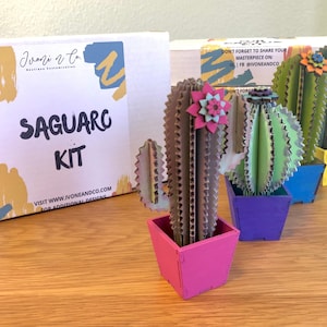 Cacti DIY kits
