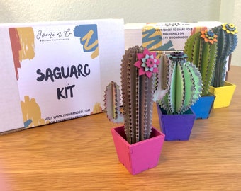 Cacti DIY kits