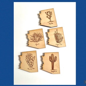 Arizona magnets