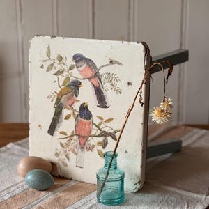 May include: A square, distressed white wooden stool featuring a botanical illustration of three birds perched on branches. A small, clear blue glass bottle holds a single dried flower stem, and two smooth, oval-shaped stones sit nearby.