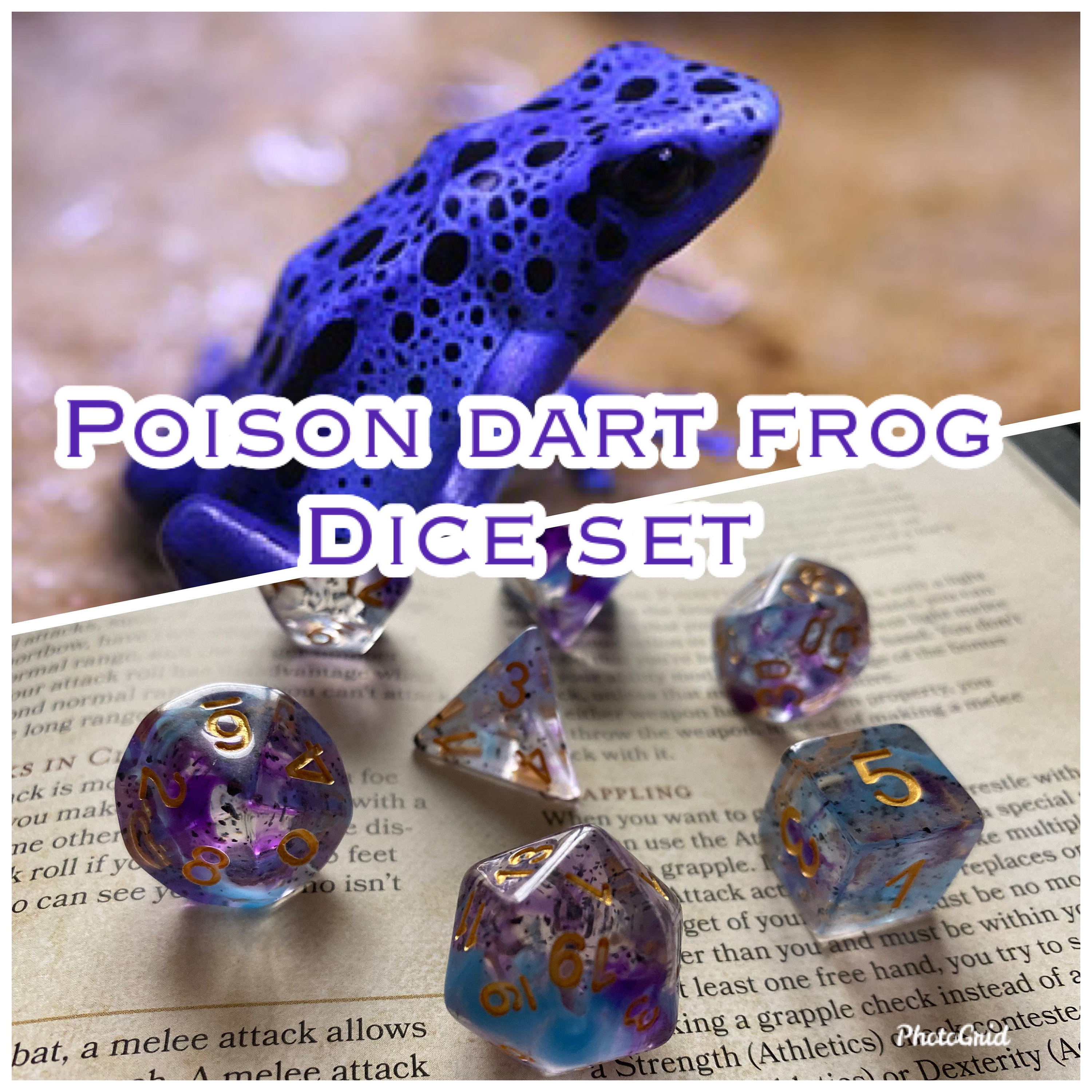 Poison DArt FRog DNd DIce SEt For Dungeons & DRagons RPg TTrpg