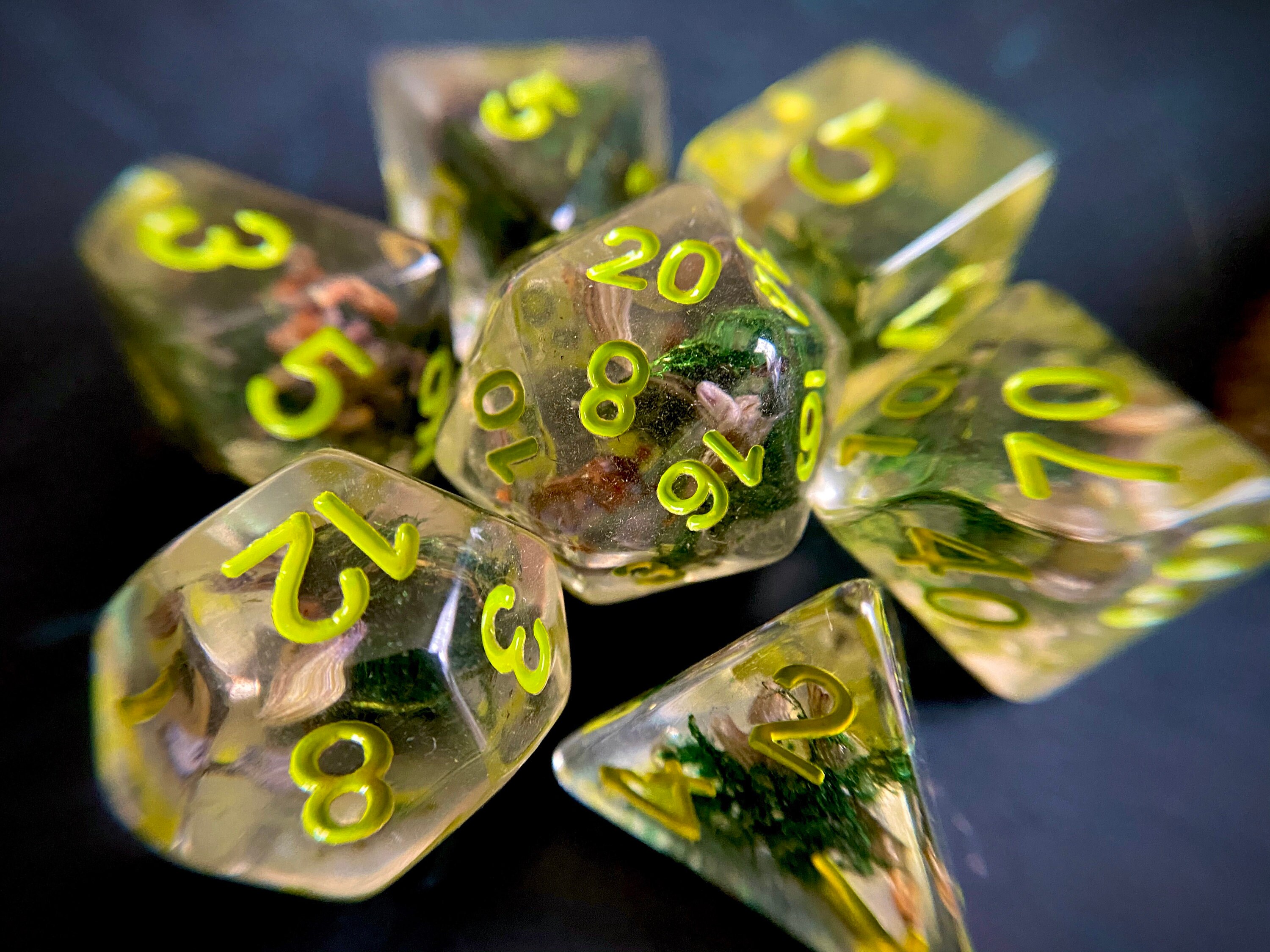 Seedling DNd Dice set for TTRPG d20 Polyhedral dice set Etsy