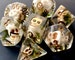 UNDEAD Bones dnd Dice set SKULL polyhedral dice set 4 Dungeons and Dragons - Dnd gifts Dungeon Master