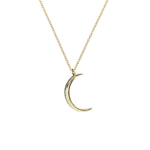 Silver Crescent Necklace