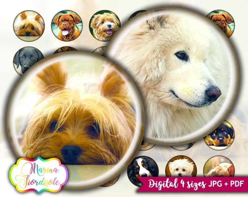 Dogs digital collage sheet circle 1 inch Printable images for jewelry cabochon template 1.5 inch 12mm 20mm