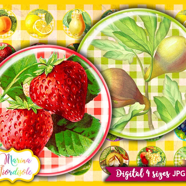 Vintage Fruit images digital collage sheets round 12mm, 20mm, 1 inch, 1.5 inch, instant download cabochon