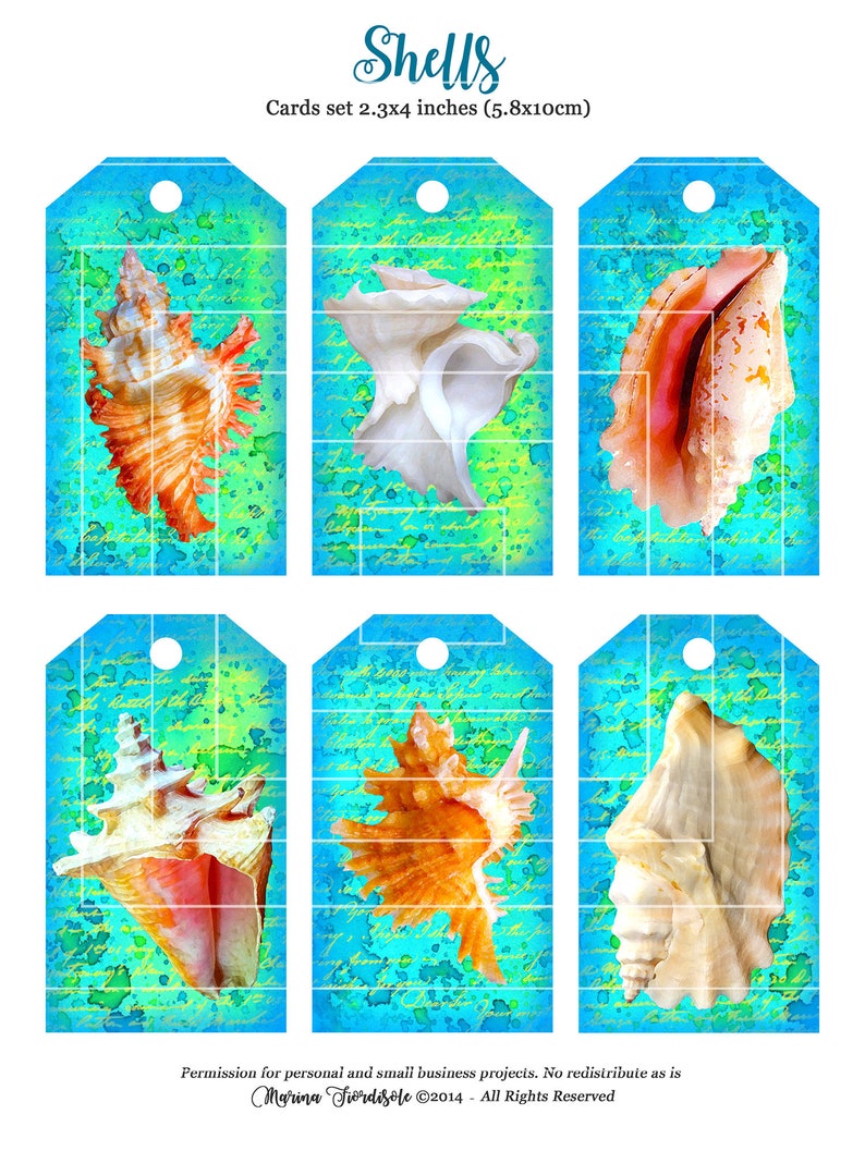 Seashell gift tags printable beach shells images digital | Etsy