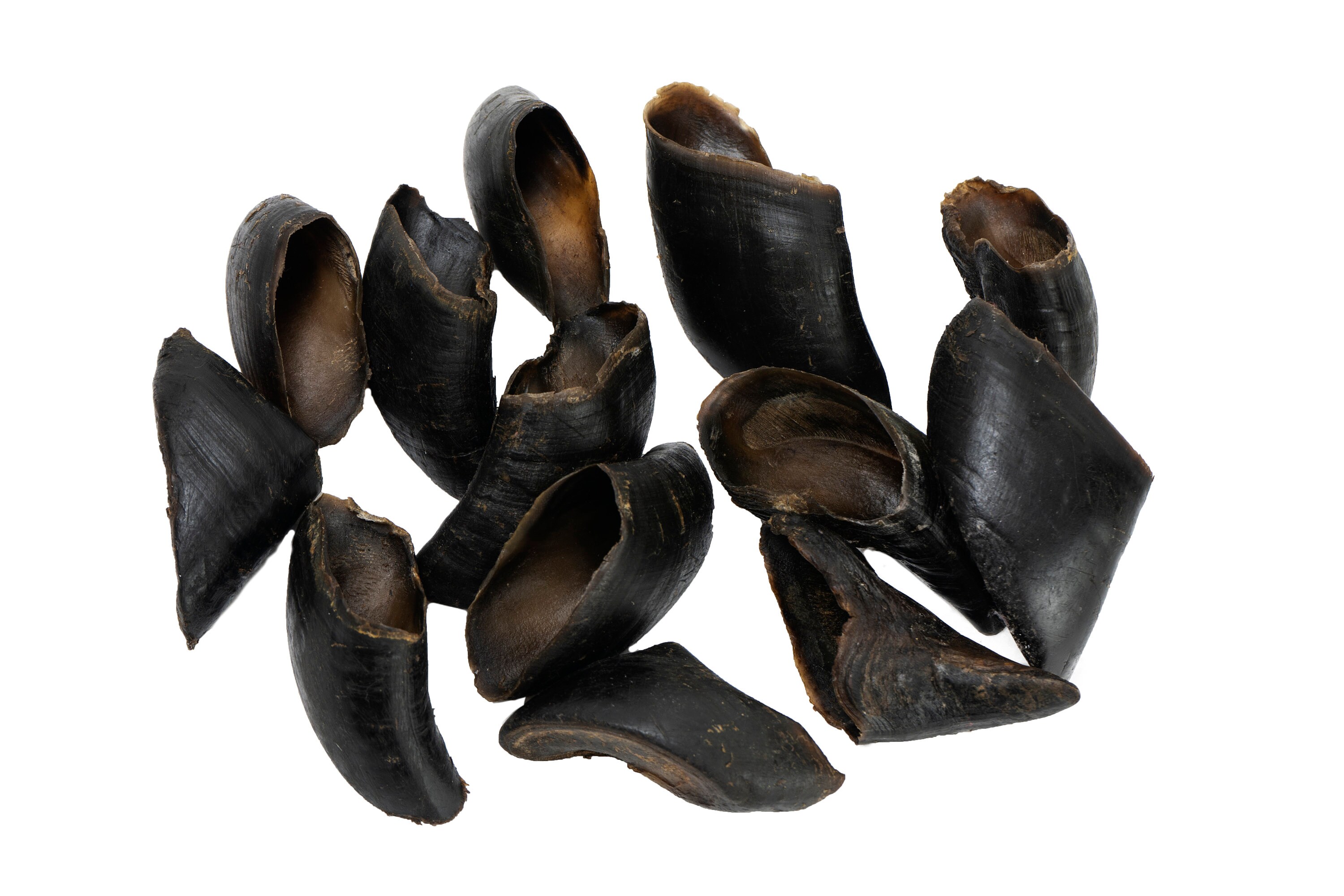 Water Buffalo Hooves4 COUNT12 Oz High Protein 100 Etsy UK